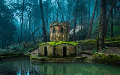 sintra, park, duck pond, old tower, portugal