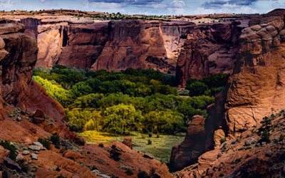 Canyon de Chelly National Monument, cliffs, forest, America, Arizona, USA