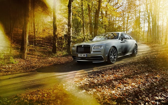 Rolls-Royce Wraith, 2016 auto, parco, auto di lusso, grigio Rolls-Royce