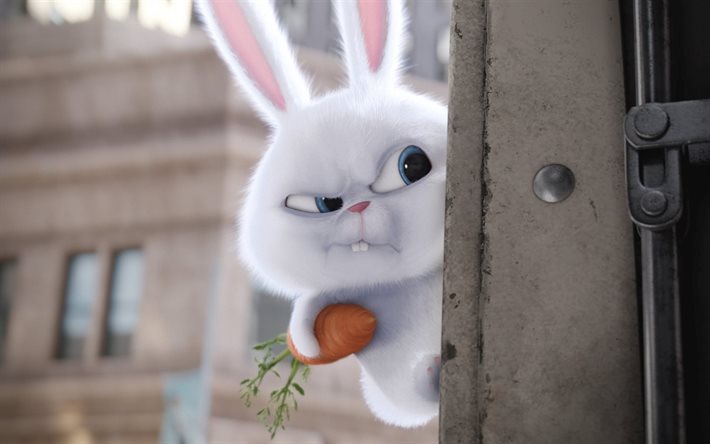 La Vie Secrète des Animaux de compagnie, en 2016, de personnages, de lapin