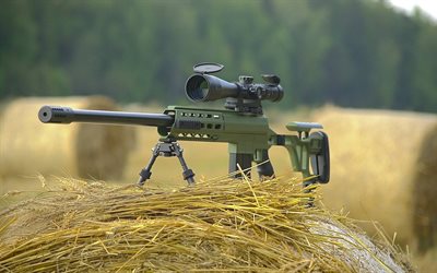 fusil de sniper, Lobaev Bras DXL-3, de l'optique, de foin