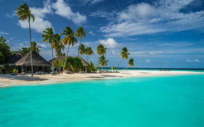 malediivit, valtameri, trooppinen saari, ranta, rantatalo, palmuja