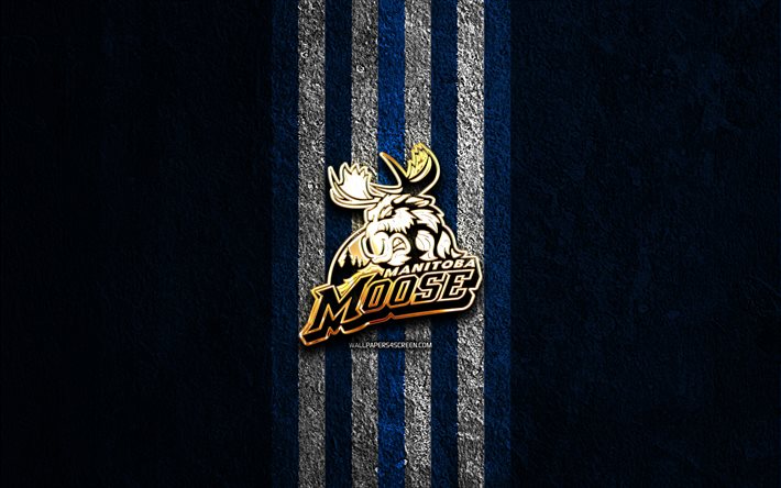 manitoba moose logotipo dorado, 4k, fondo de piedra azul, ahl, equipo de hockey americano, logotipo de manitoba moose, hockey, manitoba moose