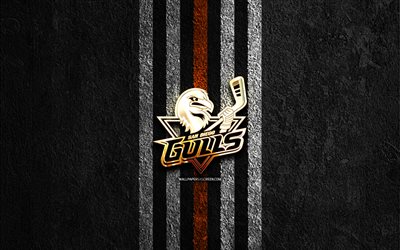 san diego gulls goldenes logo, 4k, schwarzer steinhintergrund, ahl, amerikanisches hockeyteam, san diego gulls logo, hockey, san diego gulls