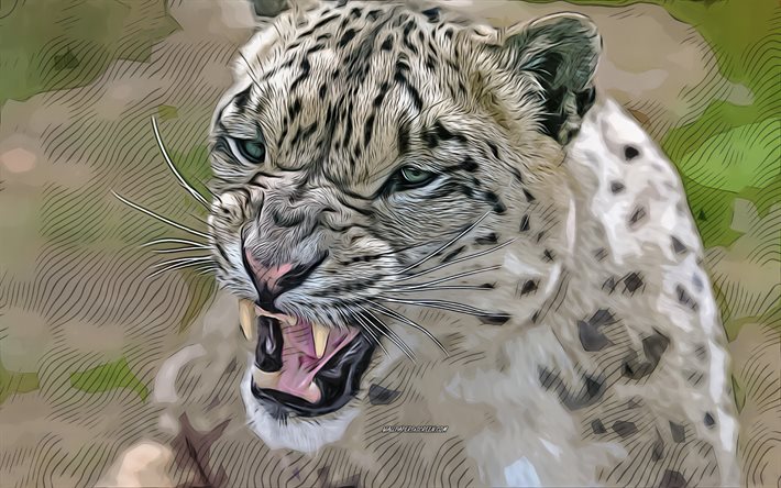snöleopard, 4k, rovdjur, vektorkonst, irbis, vilda katter, leopardteckningar, vilda djur