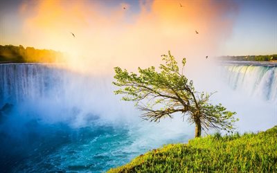 Niagara fall, sunset, waterfalls, Canada