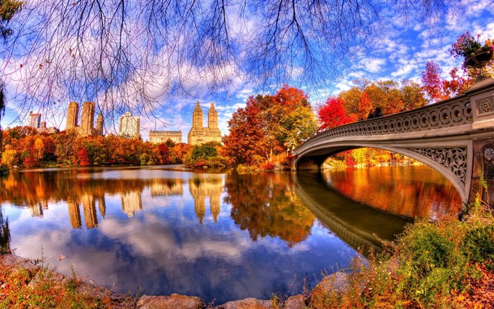 otoño, río, puente, HDR