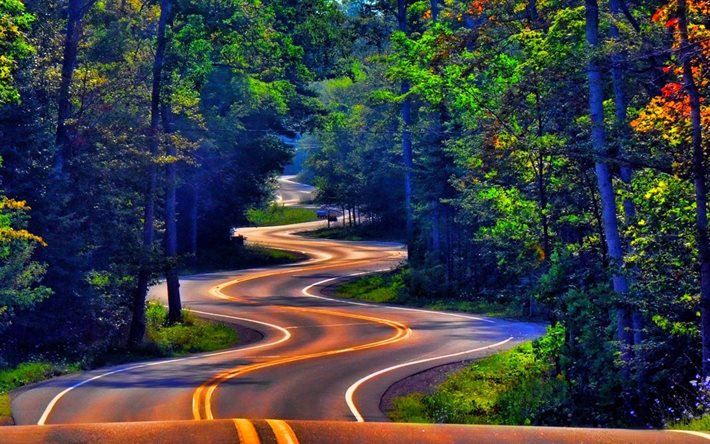 autumn, road serpentine, forest, road, America, USA