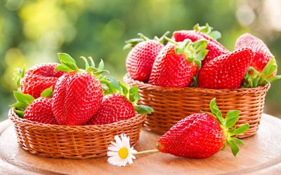 Strawberry, baskets, berries, fruits, chamomile