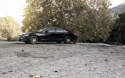 los sedanes, 2015, de Mercedes clase CLS, árboles, Mercedes negro