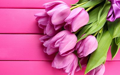 pink tulips, board, bouquet, tulips, pink background