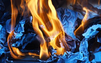 fire, flames, bonfire, burning paper