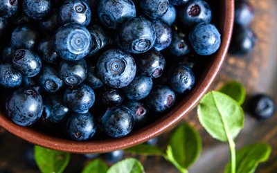 blueberry, bowl, blur, leaves, berries