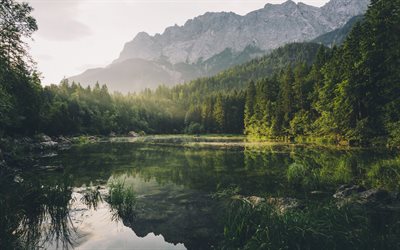 Montagna, mattina, lago, foresta, Baviera, Germania