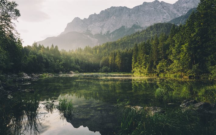 Mountains, morning, lake, forest, Bavaria, Germany