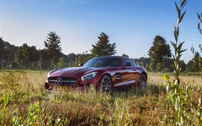supercar, 2016, Mercedes-AMG GT, un campo, una Mercedes rossa
