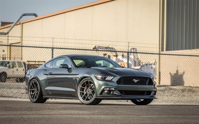 Vorsteiner, tuning, supercars, 2016, Ford Mustang GT, plant, gray mustang