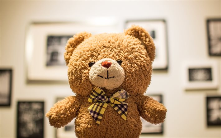 curly teddy bear, 4k, bow, toys, cute bear, teddy bear, bokeh, cute toys, teddy bears