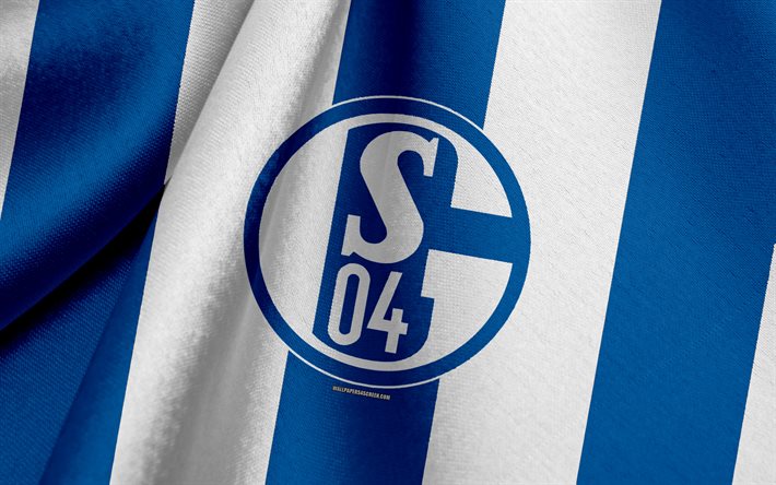 schalke 04, tyskt fotbollslag, blå vit flagga, emblem, tygstruktur, logotyp, bundesliga, gelsenkirchen, tyskland, fotboll