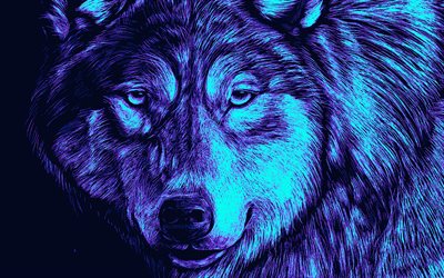 lobo, 4k, ciberpunk, mirada de lobo, hocico de lobo, mirada depredadora, creativo, depredadores, lobos, obra de arte, lobo ciberpunk