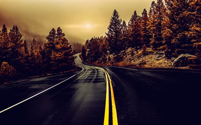 route d'asphalte, paysage d'automne, soirée, coucher de soleil, arbres jaunes, automne, route de montagne, marquages ​​routiers jaunes, etats unis