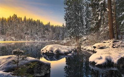 winter, lake, forest, pine, sunset