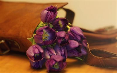 strauß von tulpen, lila tulpen, blumenstrauß, tulpen