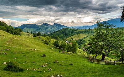 घास का मैदान, ढलानों, बादलों, पहाड़ों, शाम, परिदृश्य, रोमानिया