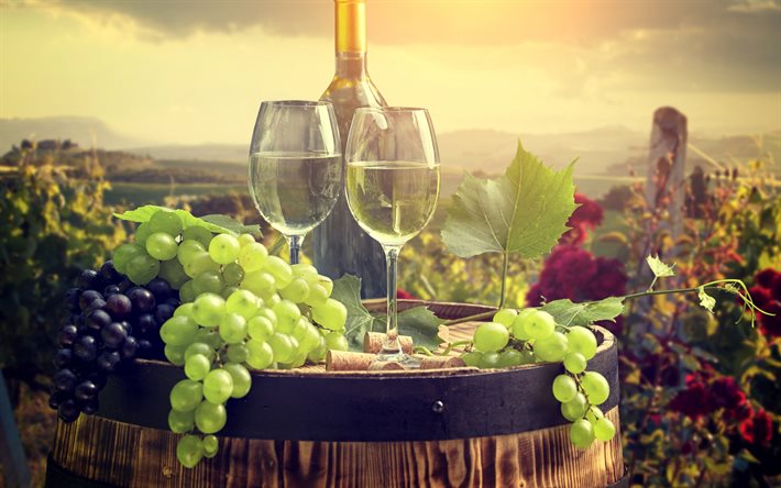 vino blanco, copa de vino, barril de vino, cosecha, otoño, uvas