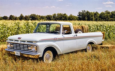 ford f 100, 4k, fuori strada, auto del 1963, pickup, auto retrò, ford f 100 del 1963, auto americane, guado