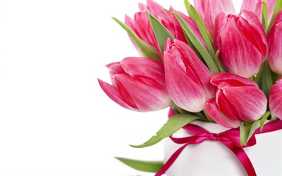 bouquet de tulipes, de roses tulipes, le printemps, le 8 Mars, des fleurs roses, des tulipes