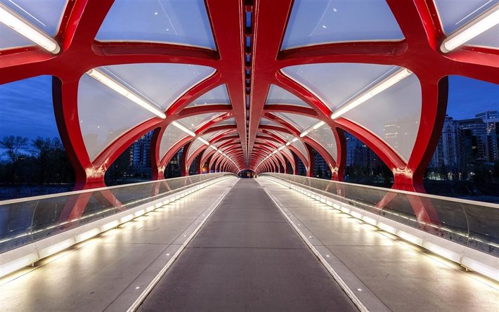 Calgary, bridge, modern architecture, evening city, Canada