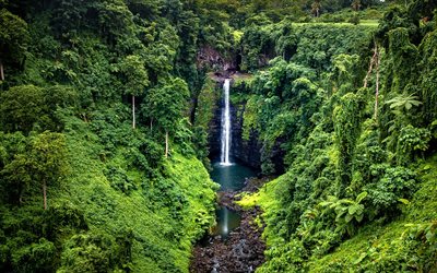 Waterfall, jungle, forest, rock, Samoa