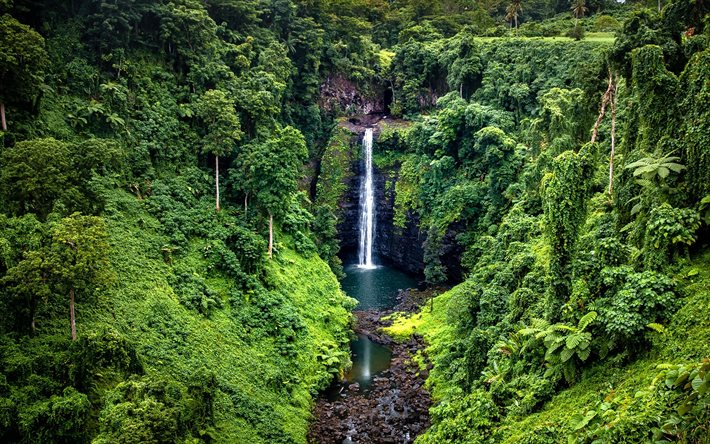 Cascata, giungla, foresta, rock, Samoa