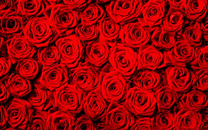 4k, 赤いバラの花束, ぼけ, 赤い花, バラの背景, 赤いつぼみ, 美しい花束, バラの花束, 赤いバラ, 美しい花, バラ