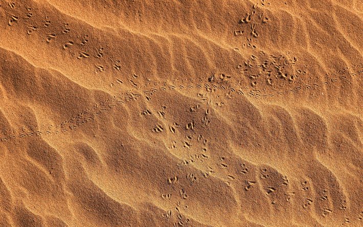 sable brun, traces d'oiseaux, textures ondulées de sable, macro, textures naturelles, textures 3d, arrière plans de sable, fond ondulé de sable, fonds de sable brun, textures de sable, fond avec du sable
