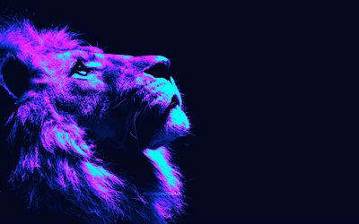 lion abstrait, 4k, minimalisme, cyberpunk, roi des bêtes, animaux abstraits, minimalisme du lion, animaux sauvages, prédateurs, lion, panthera leo, les lions, photo avec lion, créatif, lion cyberpunk