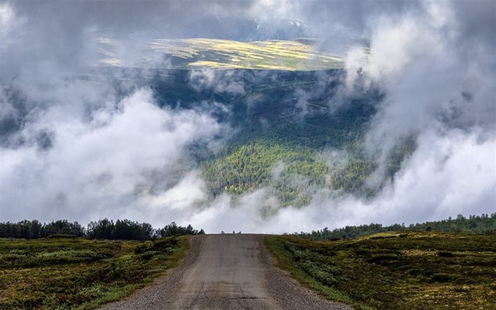 schottischen highlands, berge, straße, nebel, schottland