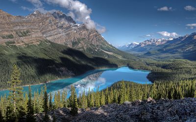 El Parque Nacional de Banff, el verano, el Lago Peyto, montañas, bosque, Alberta, Canadá