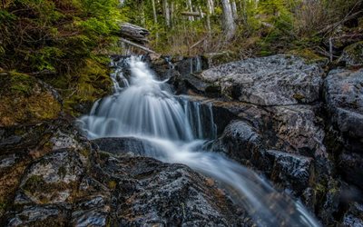 rock, waterfall, rocks, beautiful waterfall, forest, San Juan Ridge Creek, USA, California
