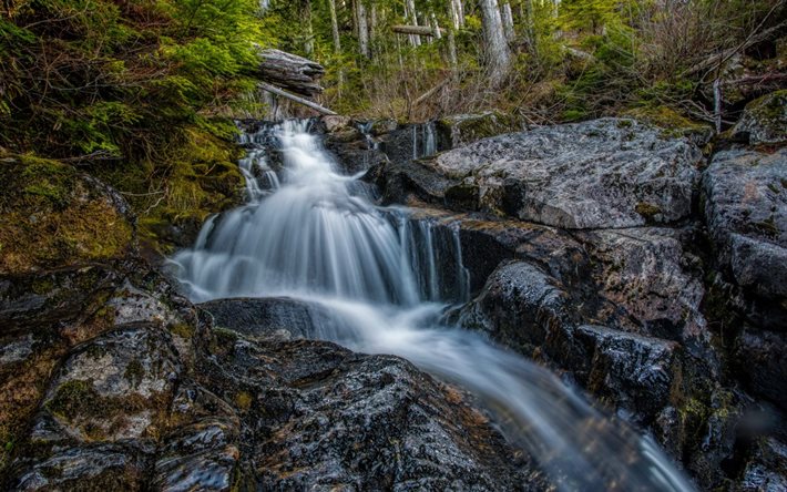 rock, waterfall, rocks, beautiful waterfall, forest, San Juan Ridge Creek, USA, California