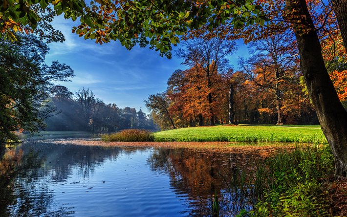autumn, pond, forest, park, trees