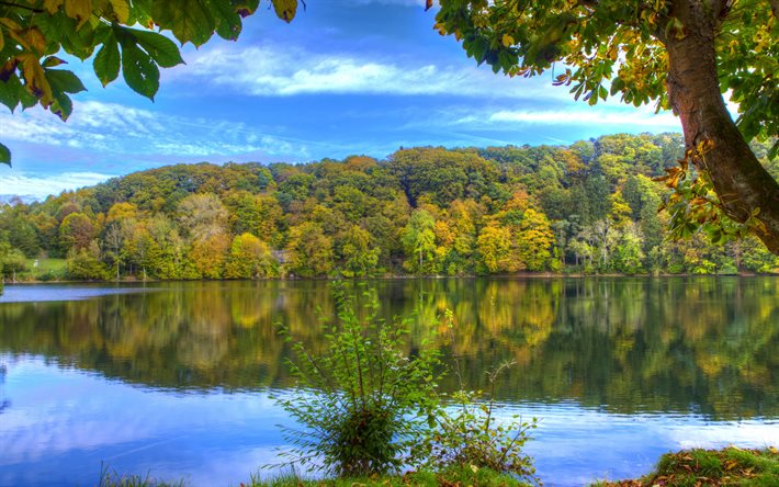 Ulmen, de reflexión, de otoño, de agua, un río, un bosque, Alemania
