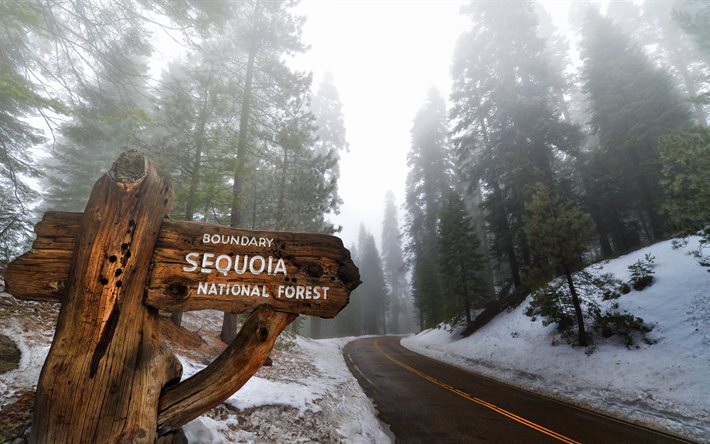 अमेरिका, Sequoia राष्ट्रीय उद्यान, 4k, सड़क, सर्दियों में, संयुक्त राज्य अमेरिका