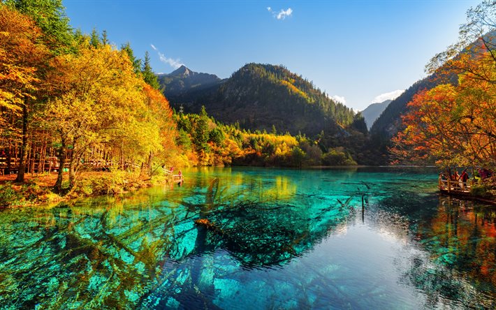 jiuzhaigou国立公園, 秋, jiuzhaiバレー, 山々, 森林, 中国
