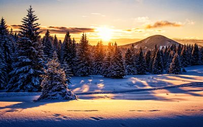 stiria, inverno, tramonto, foresta, cumuli di neve, austria, europa, natura meravigliosa, paesaggi invernali, hdr