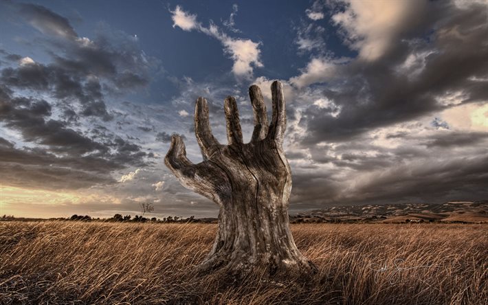 creative, tree stump, hand, wooden hand