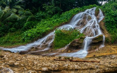 cascada de agua, árboles, arbustos, Filipinas, tropical, Cebu