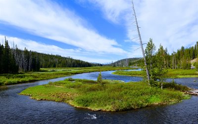 río, verano, azul, cielo, Wyoming, estados UNIDOS