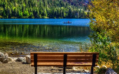 June Lake, forest, autumn, bench, California, America, USA